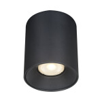 Фото ST167.402.01 Светильник потолочный Черный GU10 1*50W IP20 D80xH95 220V Без ламп Накладные светильники