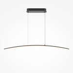 Фото 1 Подвесной светильник Maytoni MOD243PL-L18BK