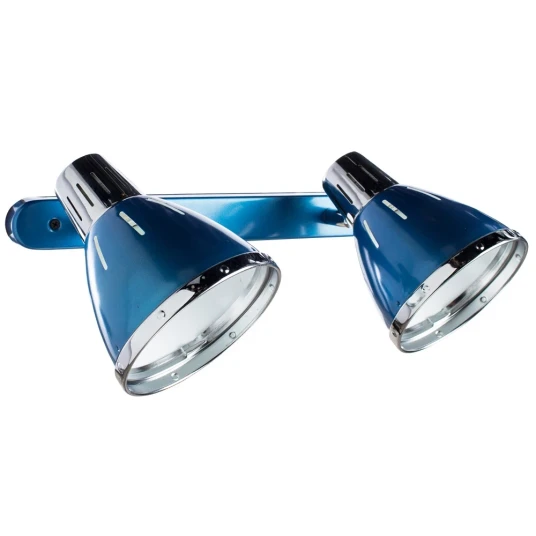 Фото Спот Arte Lamp MARTED A2215AP-2BL