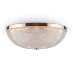 Фото 2 Потолочный светильник Maytoni C046CL-04G