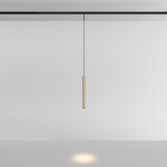 Фото 1 Трековый подвесной светильник Technical TR191-1-3W4K-M-BBS