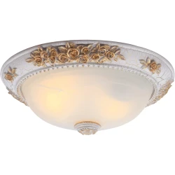Фото Потолочный светильник Arte Lamp TORTA A7102PL-2WG