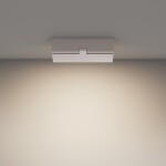 Фото 1 Потолочный светильник Technical C133CL-12W4K-W