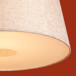 Фото 1 Подвесной светильник Freya FR2057PL-01BG