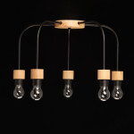 Фото 1 Люстра  680012905