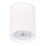 Фото 3 ST156.502.01 Светильник потолочный Белый GU10 1*50W IP20 D100xH120 180-240V Без ламп Накладные светильники