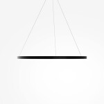 Фото 1 Подвесной светильник Maytoni MOD058PL-L54BK