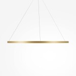 Фото 1 Подвесной светильник Maytoni MOD058PL-L65BSK