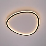 Фото 5 CL215B251E TRIO Черная Люстра Потолочная