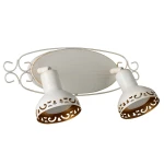 Фото Спот Arte Lamp FOCUS A5219AP-2WG