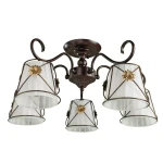 Фото Потолочная люстра Arte Lamp FORTUNA A5495PL-5BR