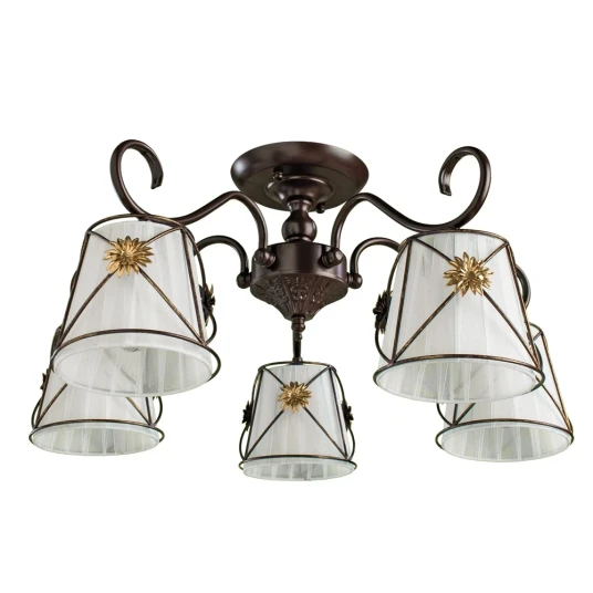 Фото Потолочная люстра Arte Lamp FORTUNA A5495PL-5BR