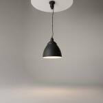 Фото 1 Подвесной светильник Maytoni P534PL-01B