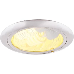 Фото Точечный встраиваемый светильник Arte Lamp DOWNLIGHTS A8060PL-2SS