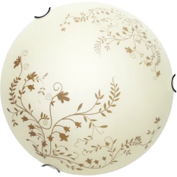 Фото Потолочный светильник Arte Lamp ORNAMENT A4920PL-1CC