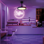 Фото 1 8730 Люстра потолочная-вентилятор NORTH