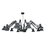 Фото Подвесная люстра Arte Lamp RAGNO A2043SP-12BK