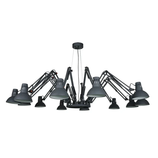 Фото Подвесная люстра Arte Lamp RAGNO A2043SP-12BK
