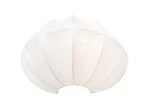 Фото Настенный светильник Arte Lamp COCOON A6190AP-1WH