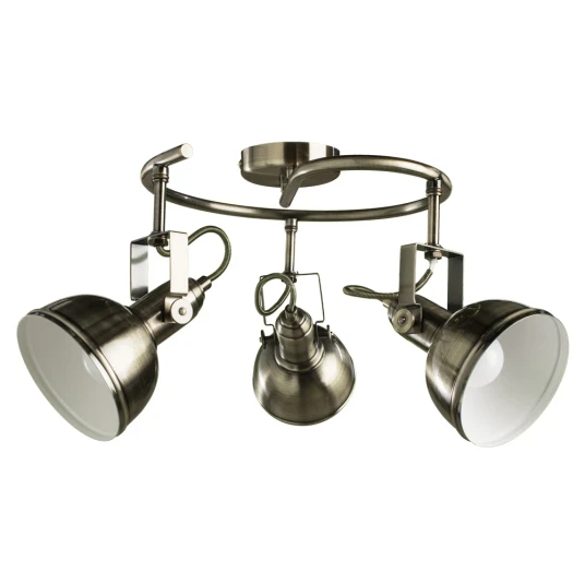 Фото Спот Arte Lamp MARTIN A5215PL-3AB