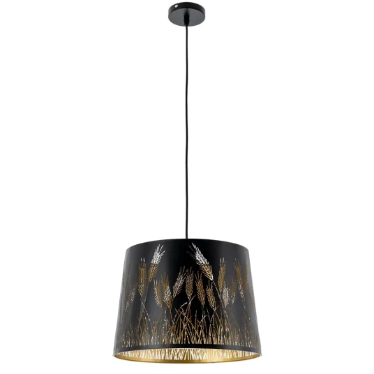Фото Подвесной светильник Arte Lamp CELESTA A2700SP-1BK