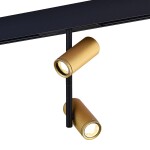 Фото 3 ST808.246.16 Магнитный трековый светильник Золотистый LED 1*16W 4000K 1 250Lm Ra>90 36° IP20 D45xH24 SKYLINE 48
