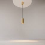 Фото 1 Подвесной светильник Technical P100PL-20W3K-BS