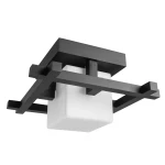 Фото Потолочный светильник Arte Lamp WOODS A8252PL-1CK
