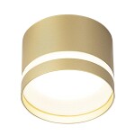 Фото 3 CL002C12 Hardy Золото Св-к Потолочный