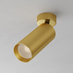 Фото 3 Потолочный светильник Technical C017CW-01MG-N