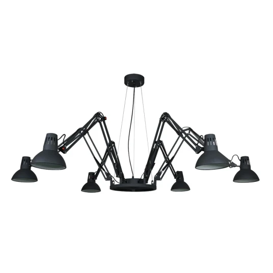 Фото Подвесная люстра Arte Lamp RAGNO A2043SP-6BK