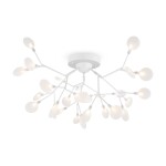 Фото 6 Потолочный светильник Freya FR5049CL-27W2