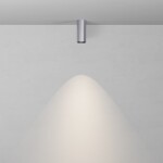 Фото 2 Потолочный светильник Technical C056CL-L12W4K-W-PT