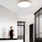 Фото 1 8136 Потолочный светильник KAZZ