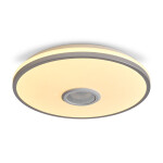 Фото Потолочный светильник Freya FR6226CL-L36W
