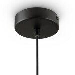 Фото 3 Подвесной светильник Freya FR1011PL-01B2