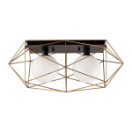 Фото 2 Потолочный светильник MX8525-2A gold/black