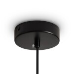 Фото 5 Подвесной светильник Freya FR5492PL-01B