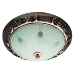 Фото Потолочный светильник Arte Lamp ALTA A3014PL-2AC