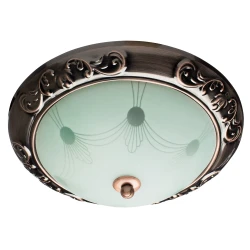 Фото Потолочный светильник Arte Lamp ALTA A3014PL-2AC