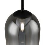 Фото 1 Подвесной светильник Freya FR1011PL-01B2