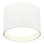 Фото ST163.502.01.02 Светильник потолочный Белый GX53 1*50W IP20 D85xH60 220V Без ламп Накладные светильники