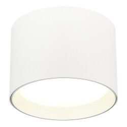 Фото ST163.502.01.02 Светильник потолочный Белый GX53 1*50W IP20 D85xH60 220V Без ламп Накладные светильники