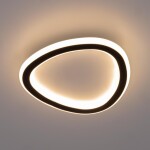 Фото 3 CL215B221 TRIO Черный Св-к Наст.-Потолочный