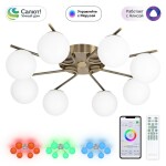 Фото 4 Потолочный светильник