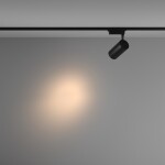 Фото 1 Трековый светильник Technical TR003-1-36W3K-S-B