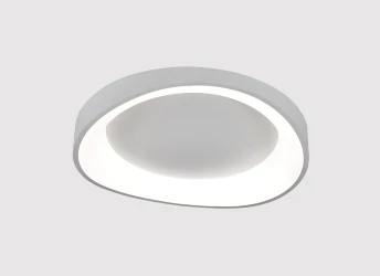 Фото Потолочный светильник Arte Lamp SUALOCIN A2698PL-60WH