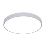 Фото Потолочный светильник Arte Lamp ARENA A2686PL-35WH