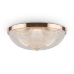 Фото 5 Потолочный светильник Maytoni C046CL-03G