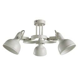 Фото Потолочная люстра Arte Lamp MARTIN A5216PL-3WG